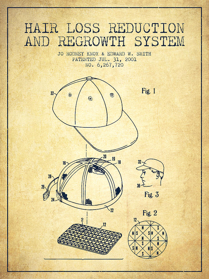 Hair Loss Reduction And Regrowth System Patent - Vintage Digital Art