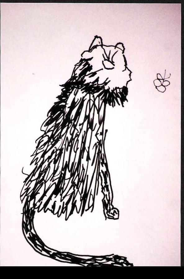 Hairy Cat Drawing by AJ Brown