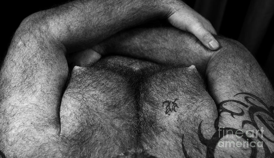 Hairy Chest Photograph by Bear Pictureart