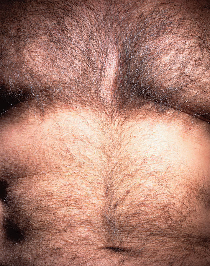 Hairy Chest Photograph by Hans Neleman
