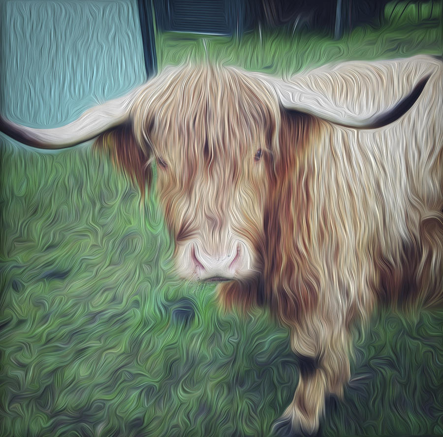 Animal Digital Art - Hairy cow by Les Cunliffe
