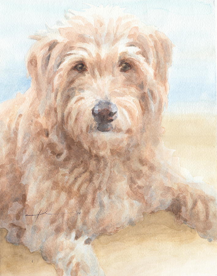 Hairy Sheepdog Watercolor Portrait Drawing by Mike Theuer Hairy Sheepdog Watercolor Portrait Drawing by Mike Theuer