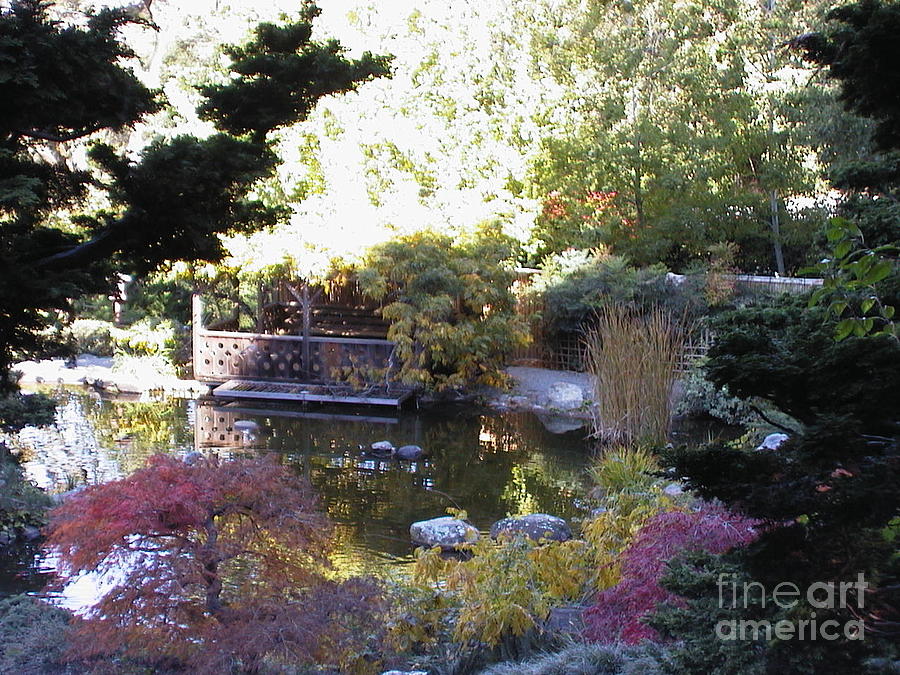 Hakone Gardens 1 Photograph by Laura Hamill