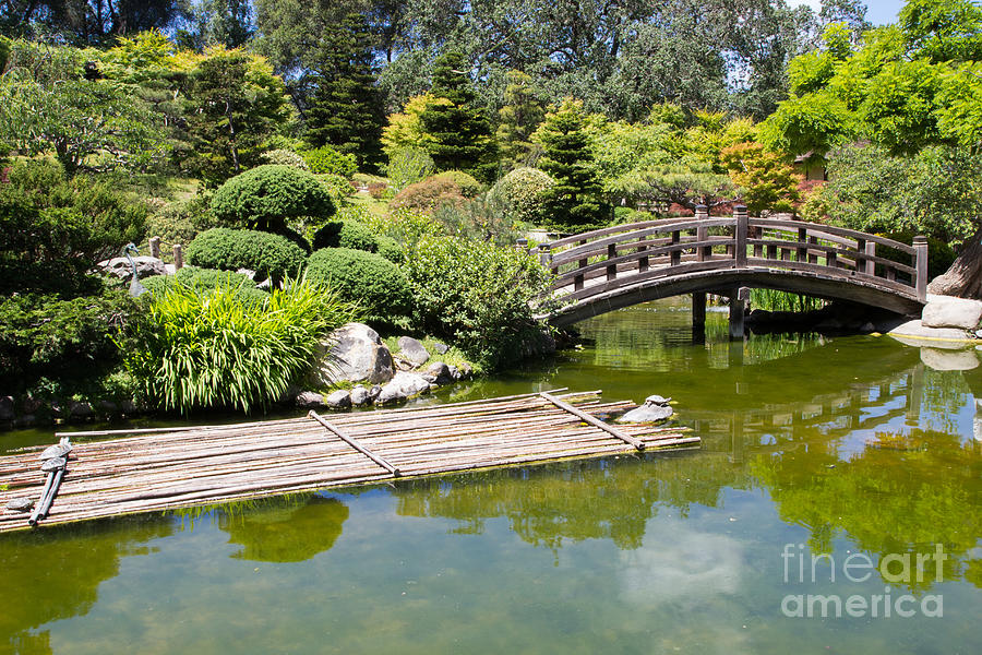 Hakone Gardens Photograph by Suzanne Luft