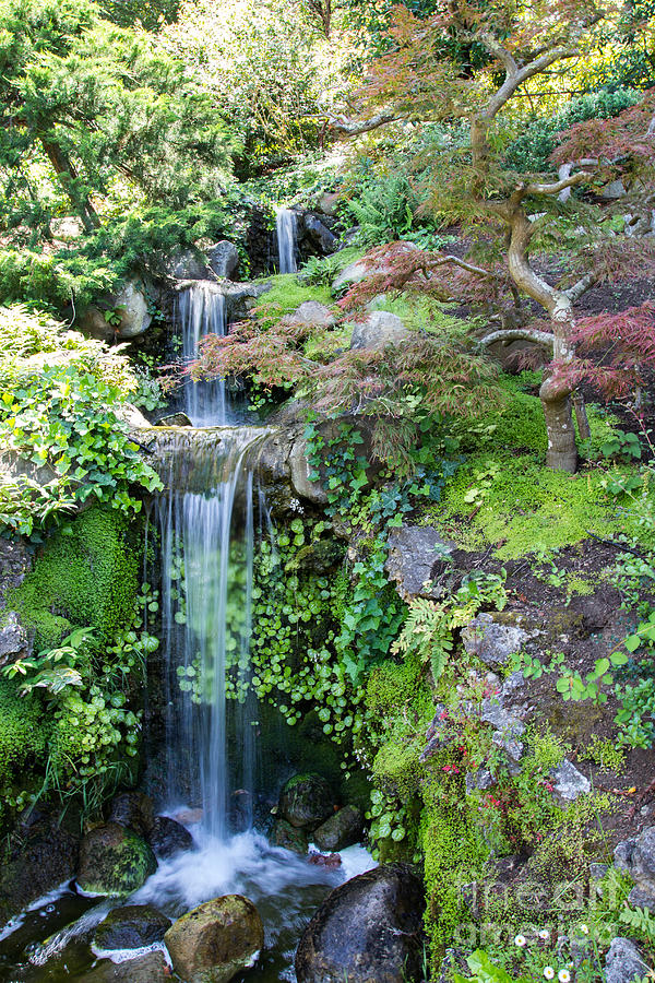 Hakone Waterfall Photograph by Suzanne Luft