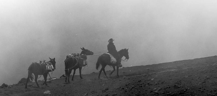 Haleakala Cowboy Photograph by Rick Shea