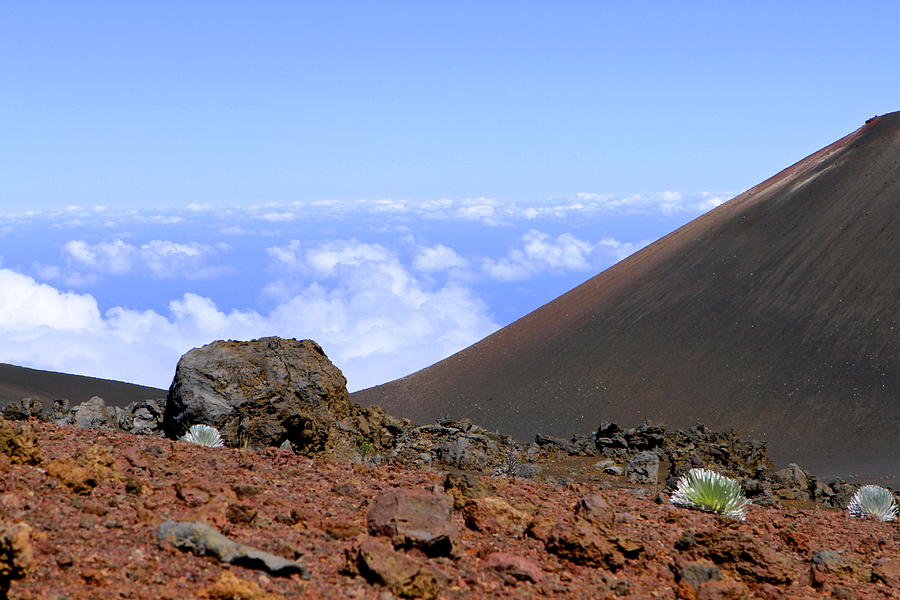 Haleakala Photograph by Sophal Benefield - Fine Art America