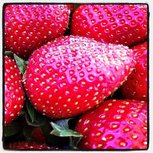 Strawberry Photograph - Half A Flat Of These Delicious Looking by Melissa Napolitano