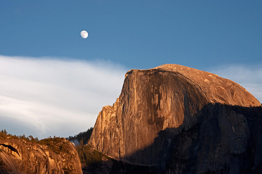 Half Dome - Yosemite Photograph by Dana Sohr