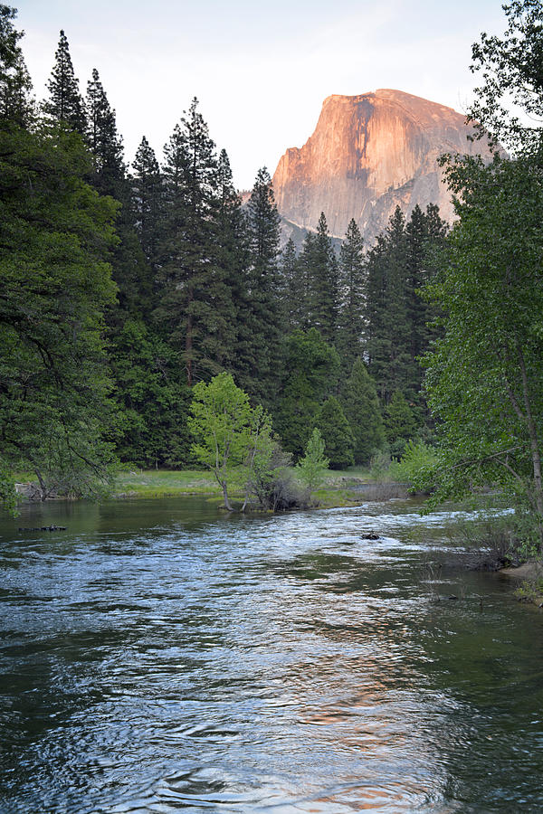 Half Dome and Merced River in Yosemite Photograph by Bruce Gourley