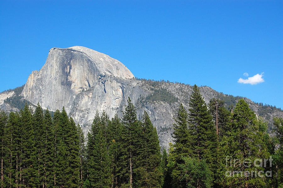 Half Dome and Moon Photograph by Debra Thompson