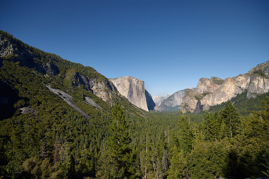 Half Dome at Yosemite National Park Photograph by Carol M Highsmith