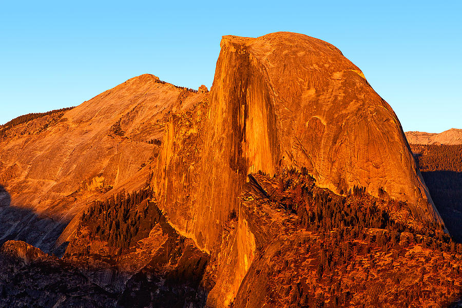 Half Dome Glow Photograph by Peter Tellone