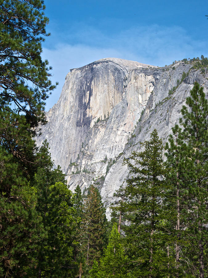 Half Dome in Spring in Yosemite National Park, California Photograph by Ruth Hager