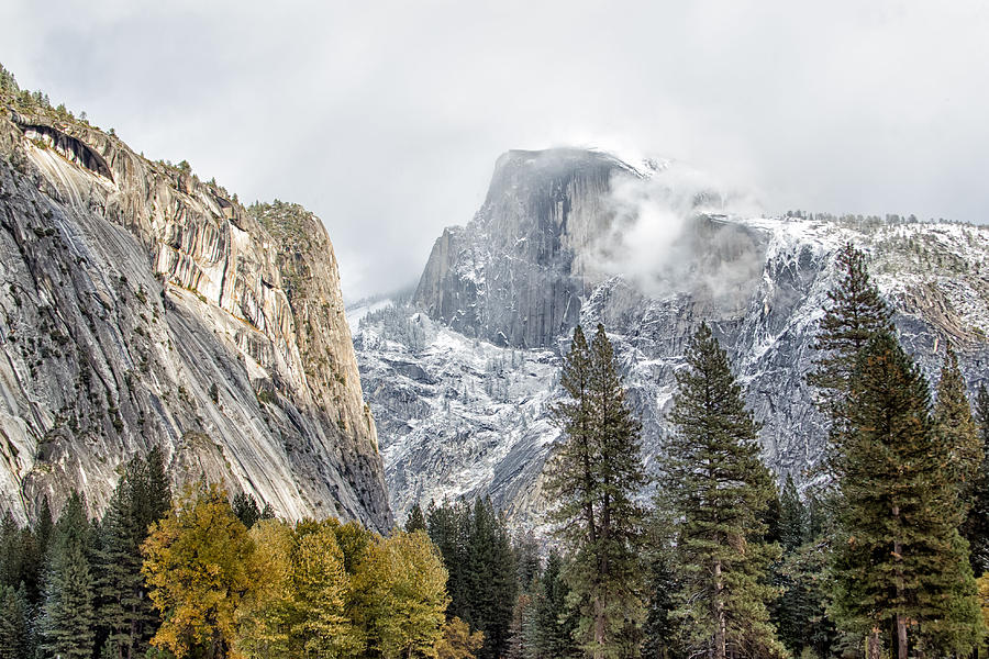 Half Dome in the Snow Photograph by Natural Focal Point Photography