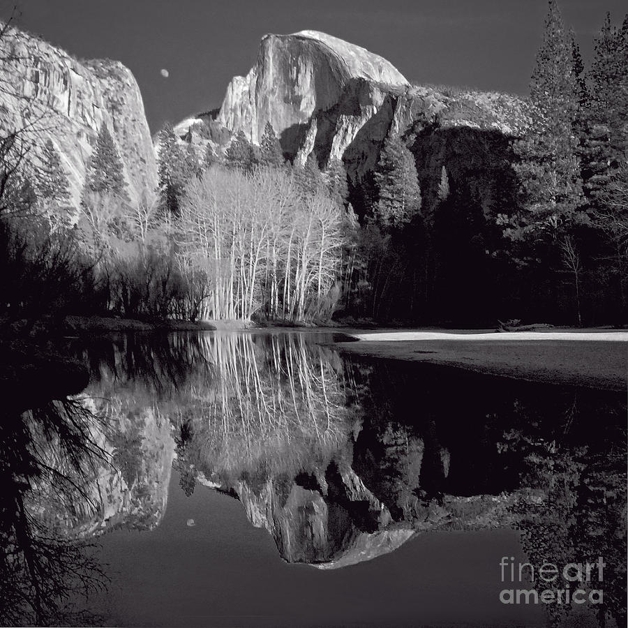 Yosemite National Park Photograph - Half Dome Moon Rise by Holly Higbee-Jansen