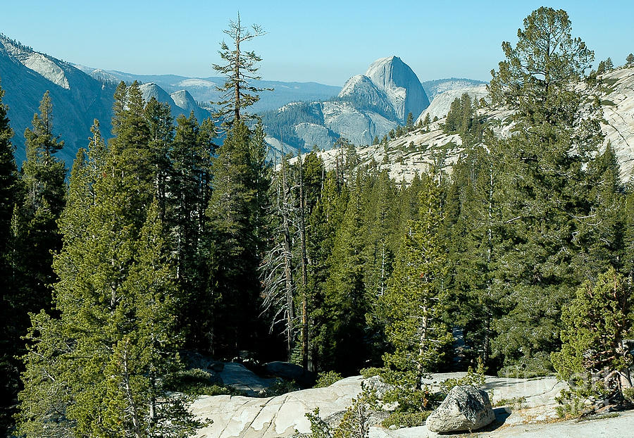 Yosemite National Park Photograph - Half Dome by Nick Boren