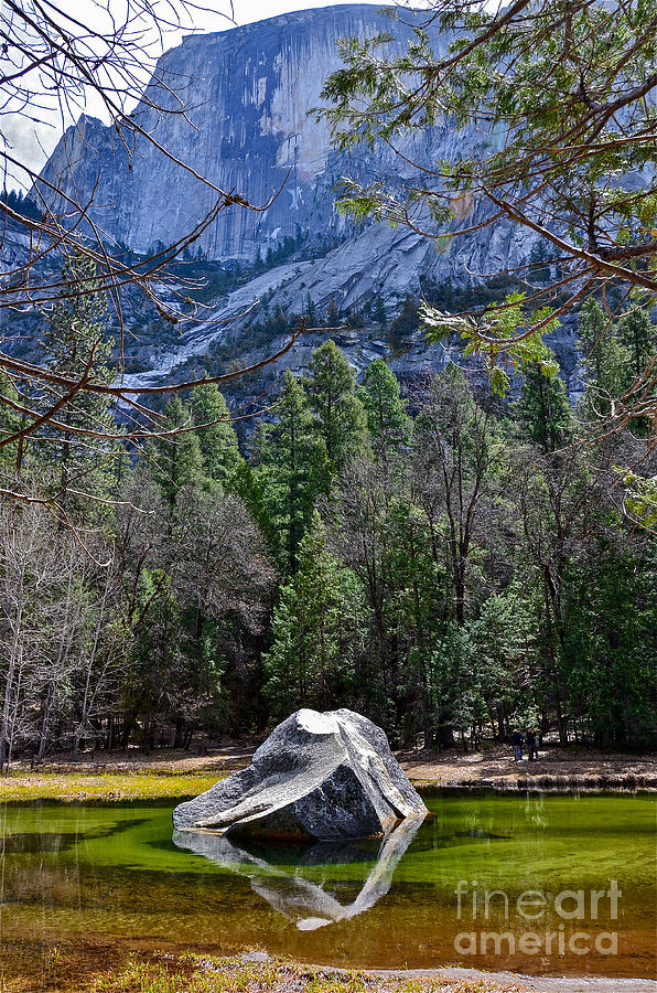 Half Dome - Yosemite Photograph by Amy Fearn