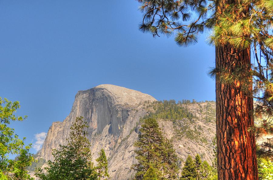 Half Dome - Yosemite National Park - California Photograph by Bruce Friedman