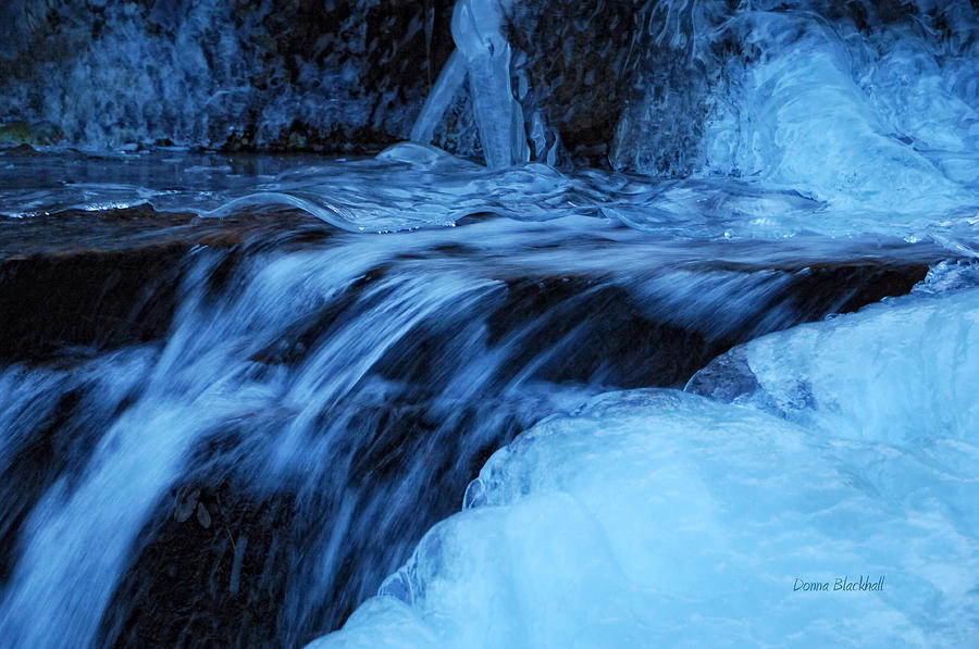 Winter Photograph - Half Frozen by Donna Blackhall