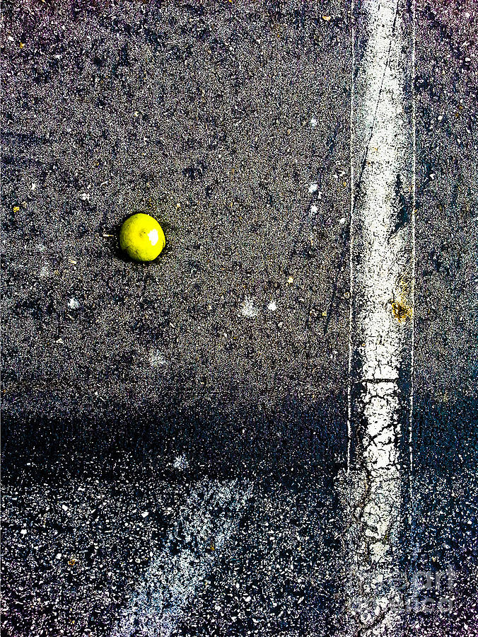 Half Life On the Concrete Pavement Photograph by Fei A