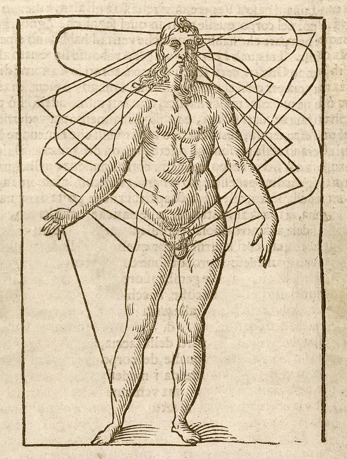 Human Photograph - Half-man Half-woman by Middle Temple Library Human Photograph - Half-man Half-woman by Middle Temple Library