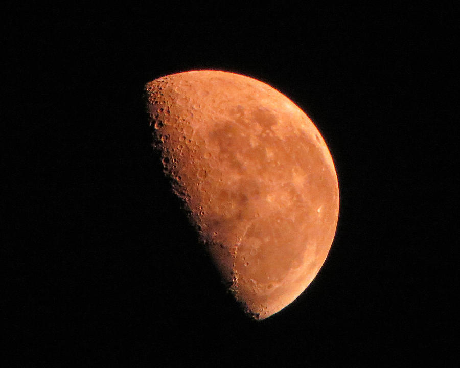Half Moon Photograph by Dawn Key