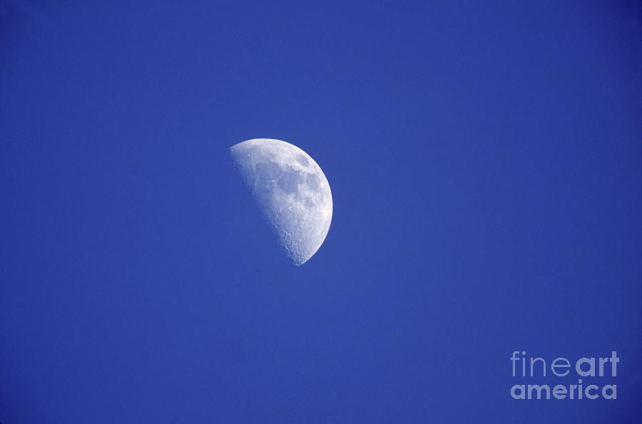 Half Moon Photograph by Gilbert S Grant