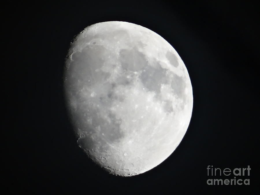 Half moon in black sky Photograph by Karin Ravasio