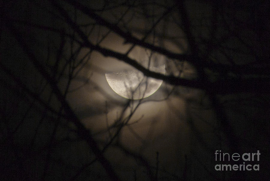 Half Moon Photograph by Jonathan Welch