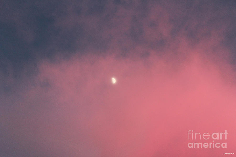 Half Moon Rising Photograph by Megan Dirsa-DuBois