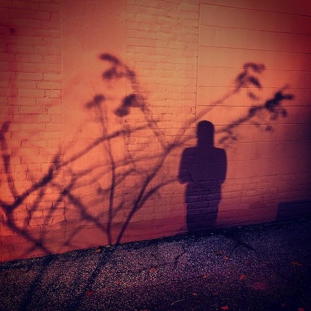 Half Shadow Photograph by Trevor Bridgewater