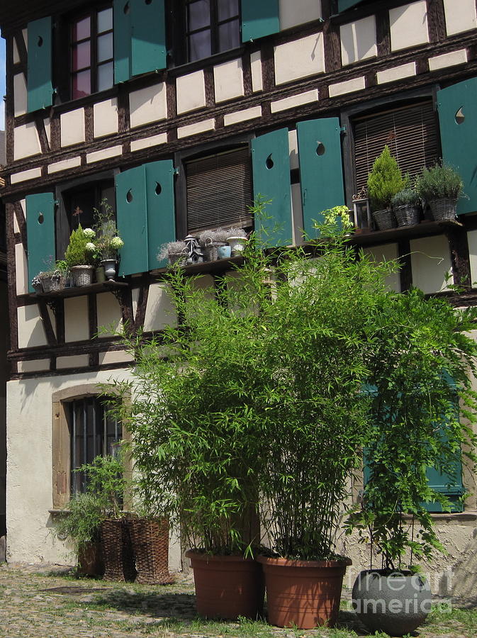 Half-Timbered House in Strasbourg Photograph by Amanda Mohler