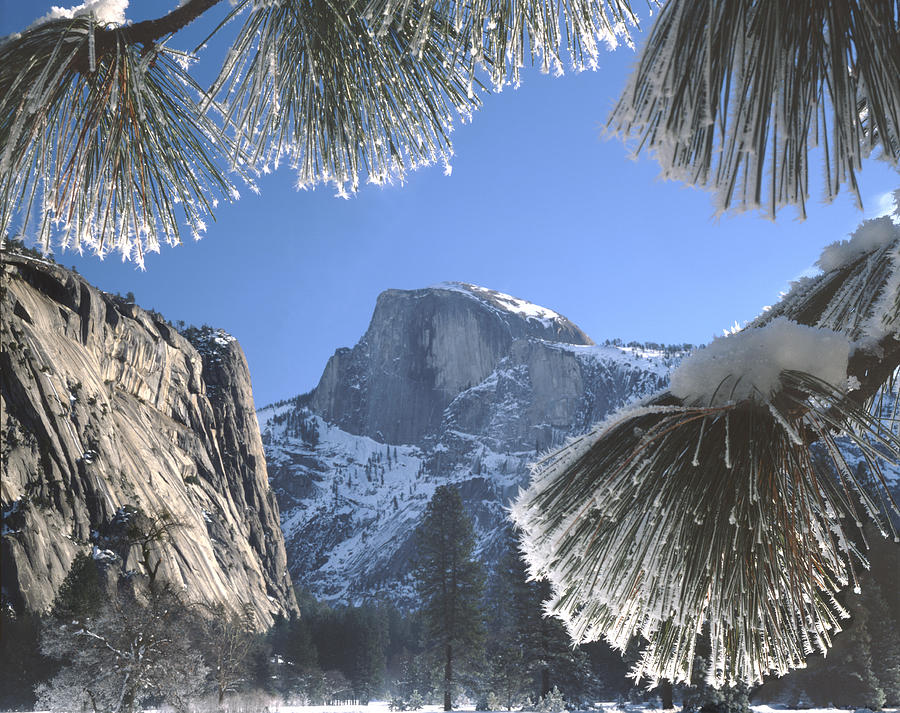 2M6757-Halfdome in Winter Photograph by Ed  Cooper Photography
