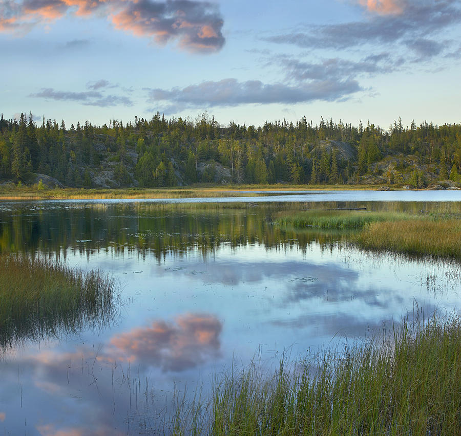Halfway Lake Pukaskwa Np Ontario Photograph by Tim Fitzharris