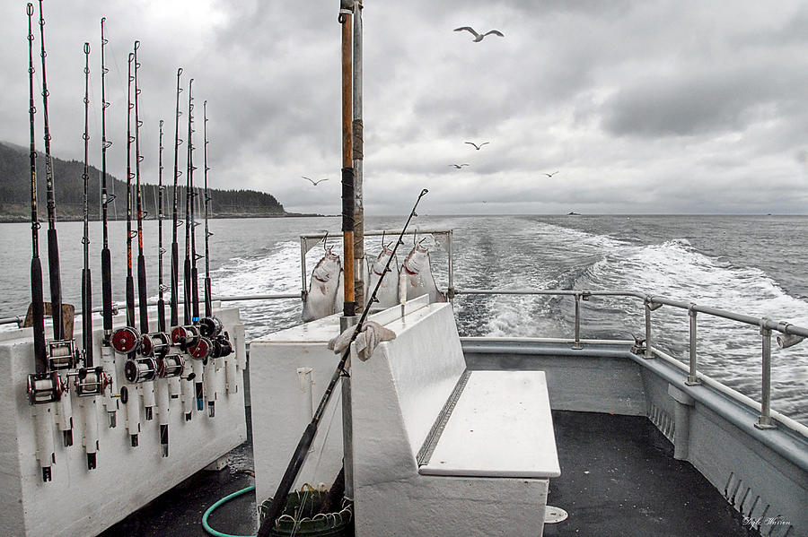 Halibut Fishing Alaska Photograph by Dyle   Warren