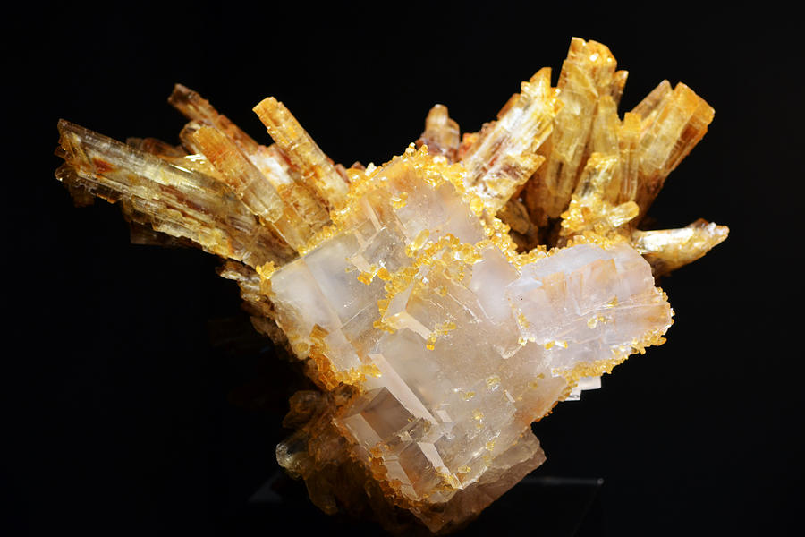 Halite Crystal Macro Photograph by Shawn OBrien