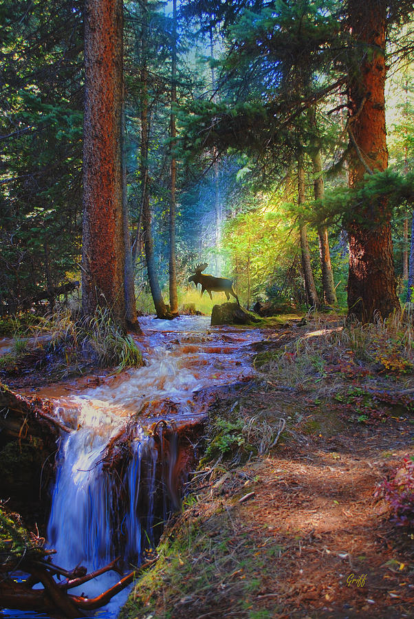 Hall Valley Moose Digital Art by J Griff Griffin