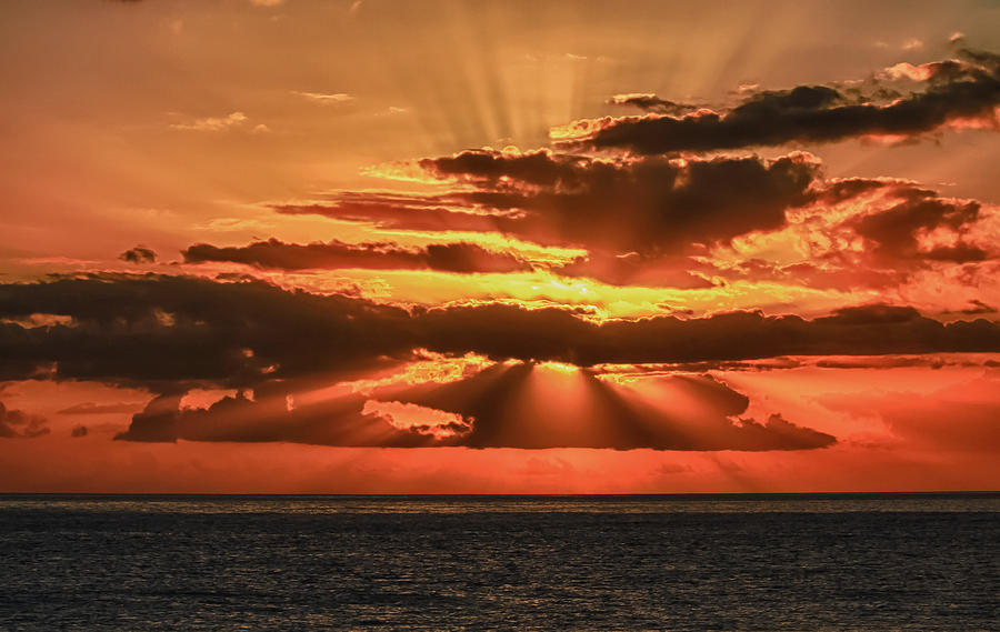 Hallelujah Photograph by Gregg Daniels - Fine Art America