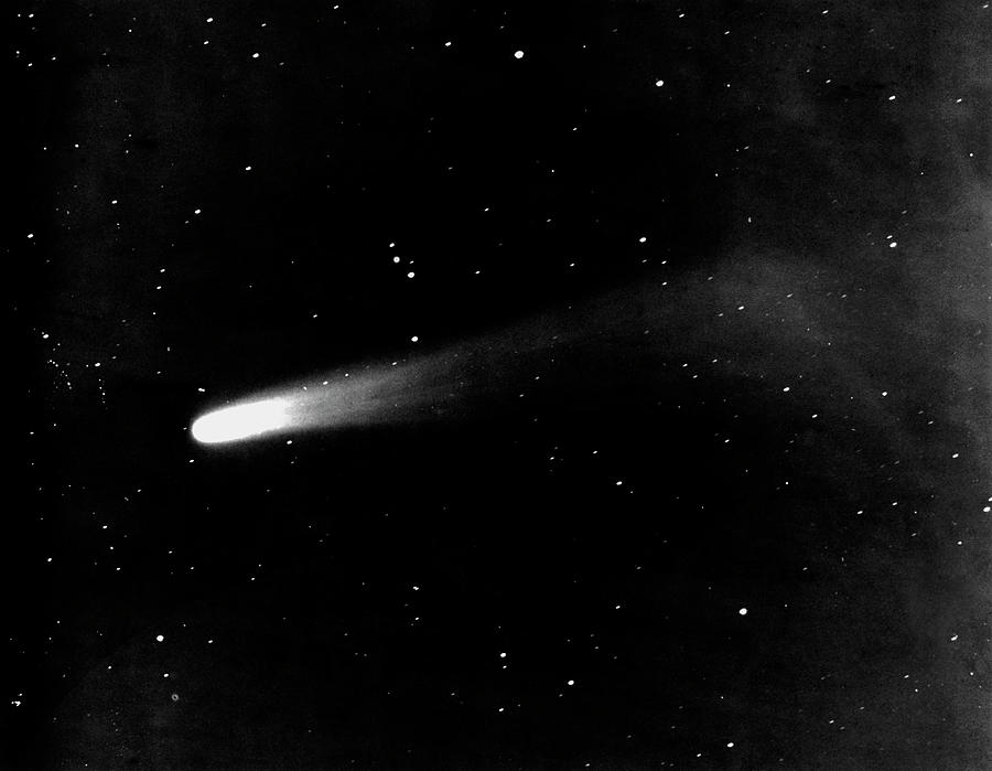 Halleys Comet Photograph by Royal Astronomical Society/science Photo Library