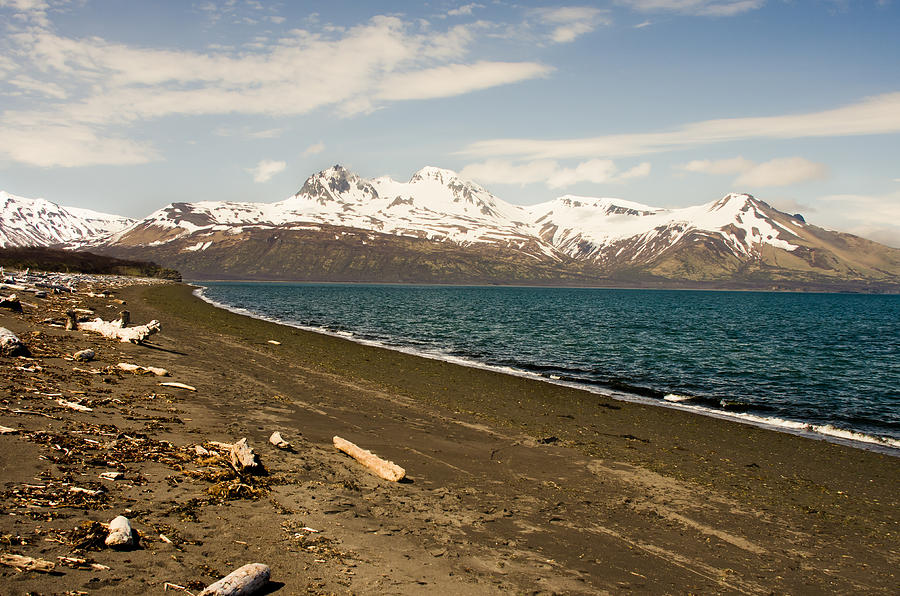 Hallo Bay In Katmai National Park Alaska Photograph by Natasha Bishop