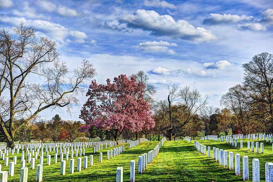 Hallowed Ground Photograph by Bill Dodsworth - Fine Art America
