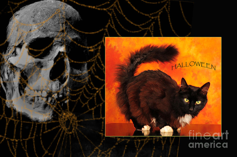 Halloween Card Photograph by Randi Grace Nilsberg