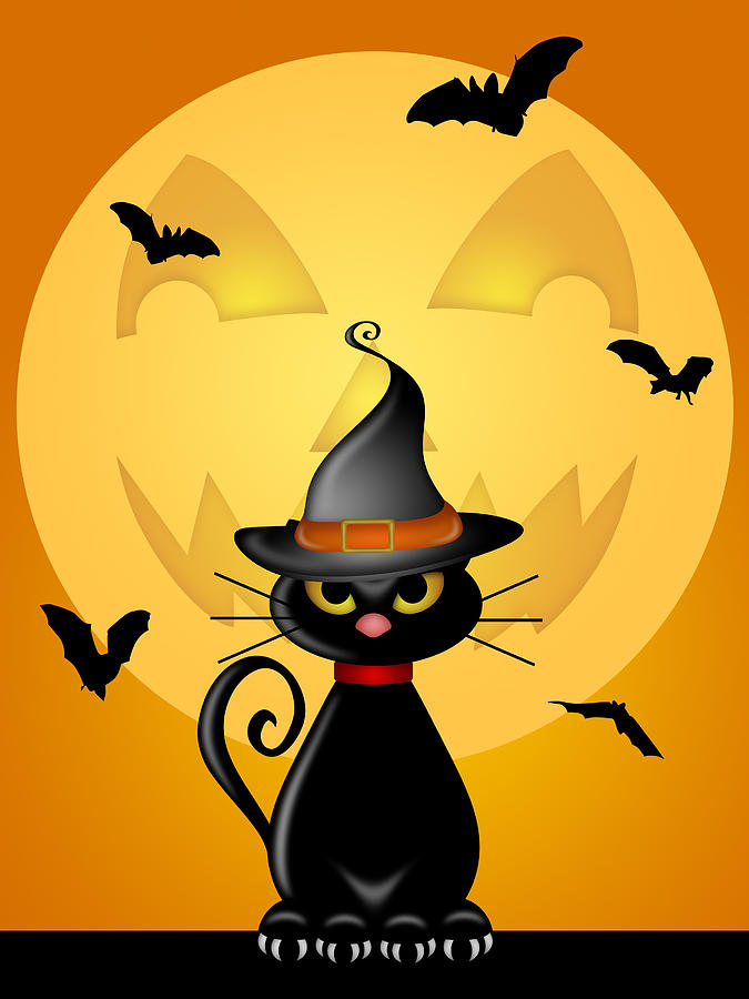 Halloween Cat with Witches Hat by Jack O Lantern Moon Photograph by David Gn