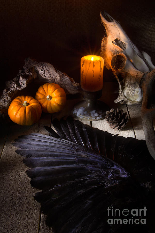 Halloween is Coming Photograph by Ann Garrett