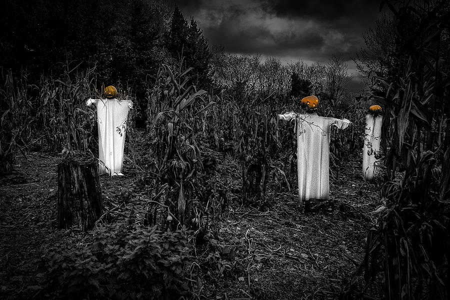 Halloween Photograph - Halloween is coming by Nigel R Bell