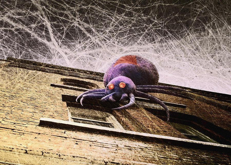 Spider Photograph - Halloween is Coming by Sue Capuano