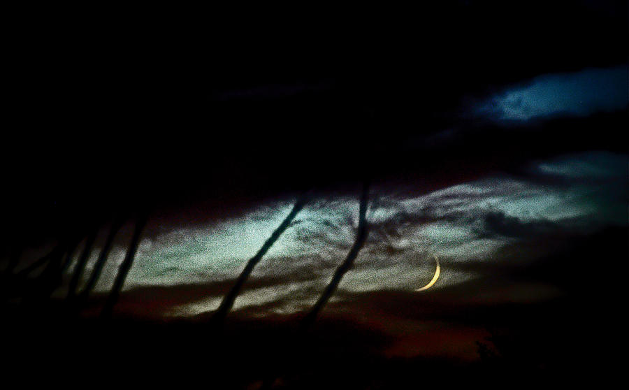 Halloween Photograph - Halloween Moon Over Tucson Desert by Jon Van Gilder