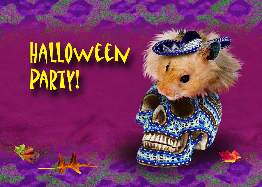 Candy Photograph - Halloween Party Hamster by Jeanette K