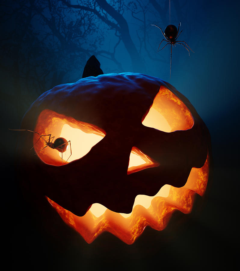 Halloween Photograph - Halloween pumpkin and spiders by Johan Swanepoel